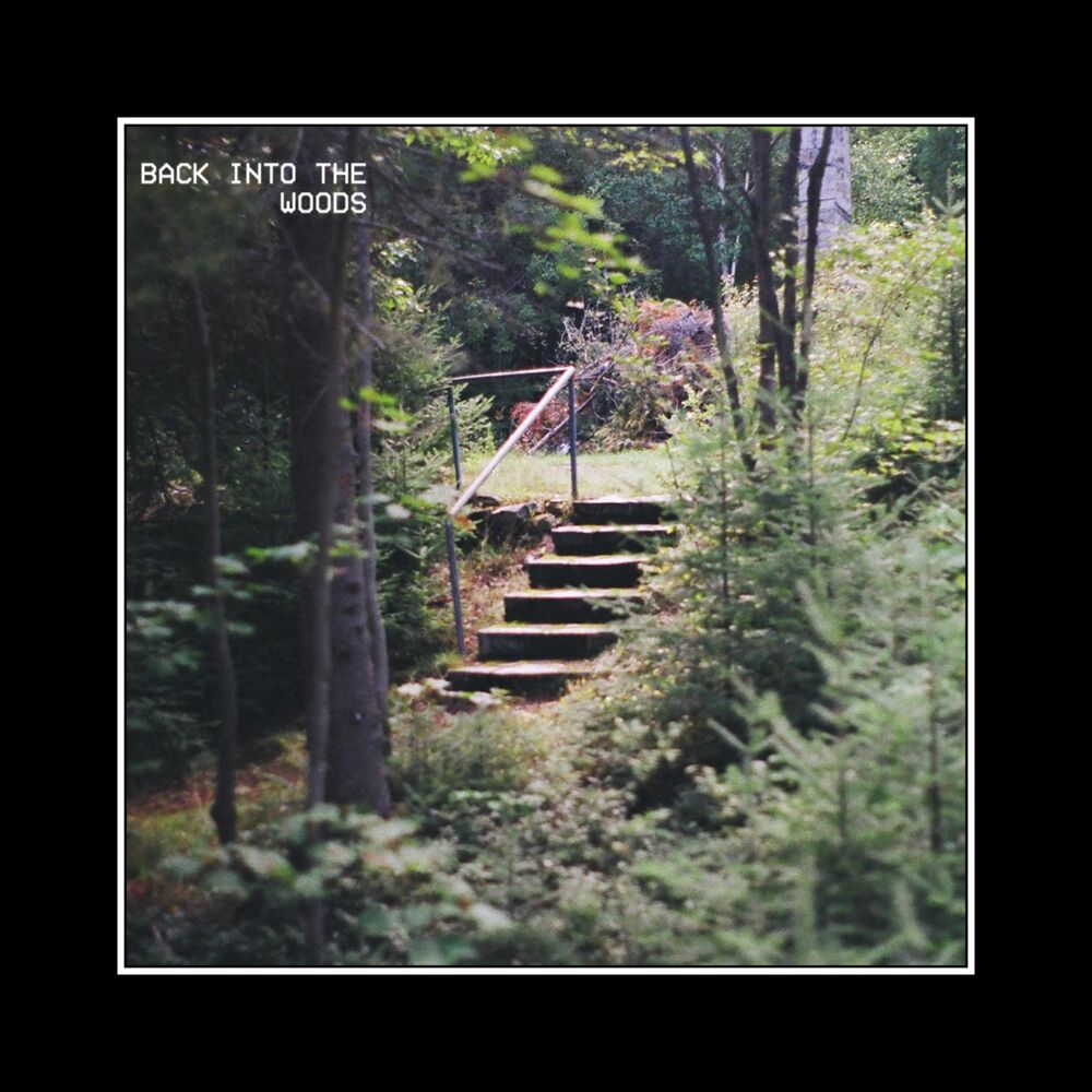 Picture of Back Into the Woods