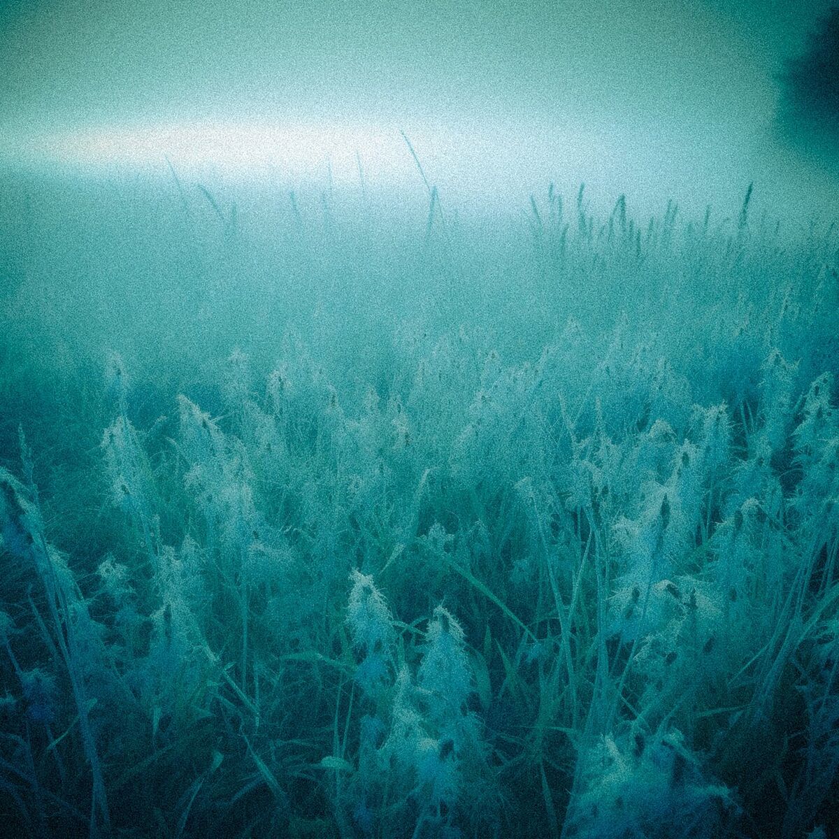Album cover of Passivity