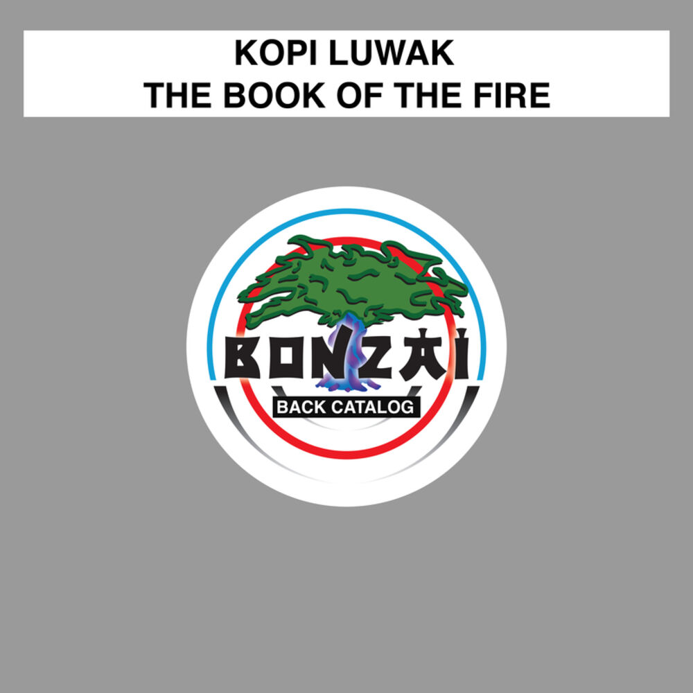 Picture of The Book Of The Fire