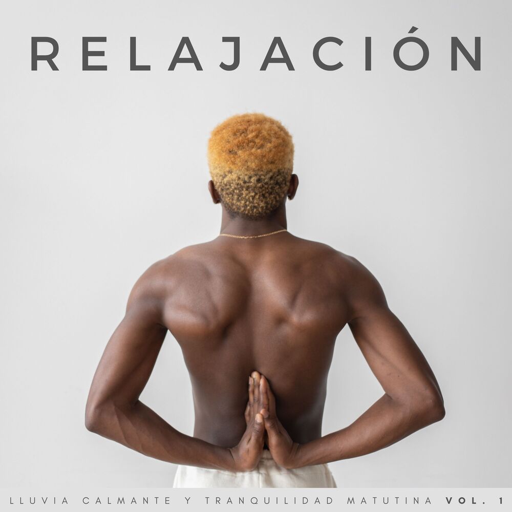 Picture of Relajación: Lluvia Calmante Y Tranquilidad Matutina Vol. 1