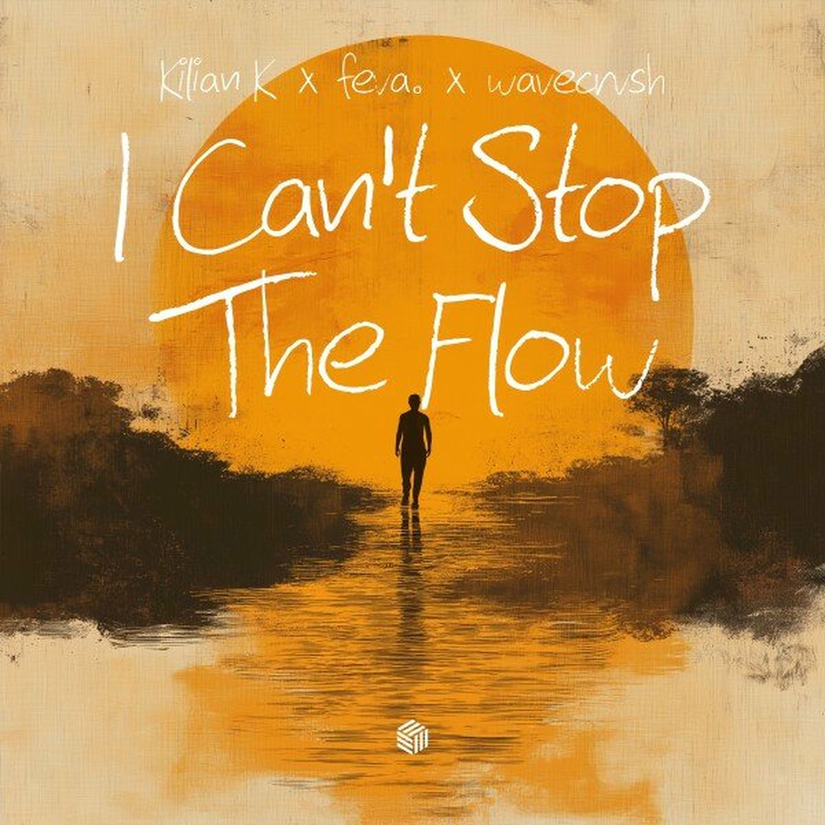 Album cover of I Can't Stop the Flow
