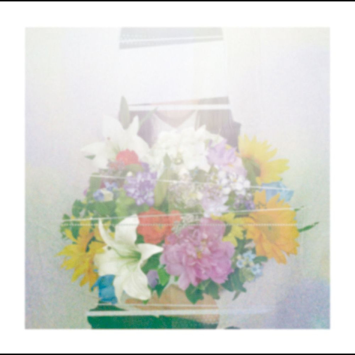 ヨルシカ: albums, songs, concerts | Deezer