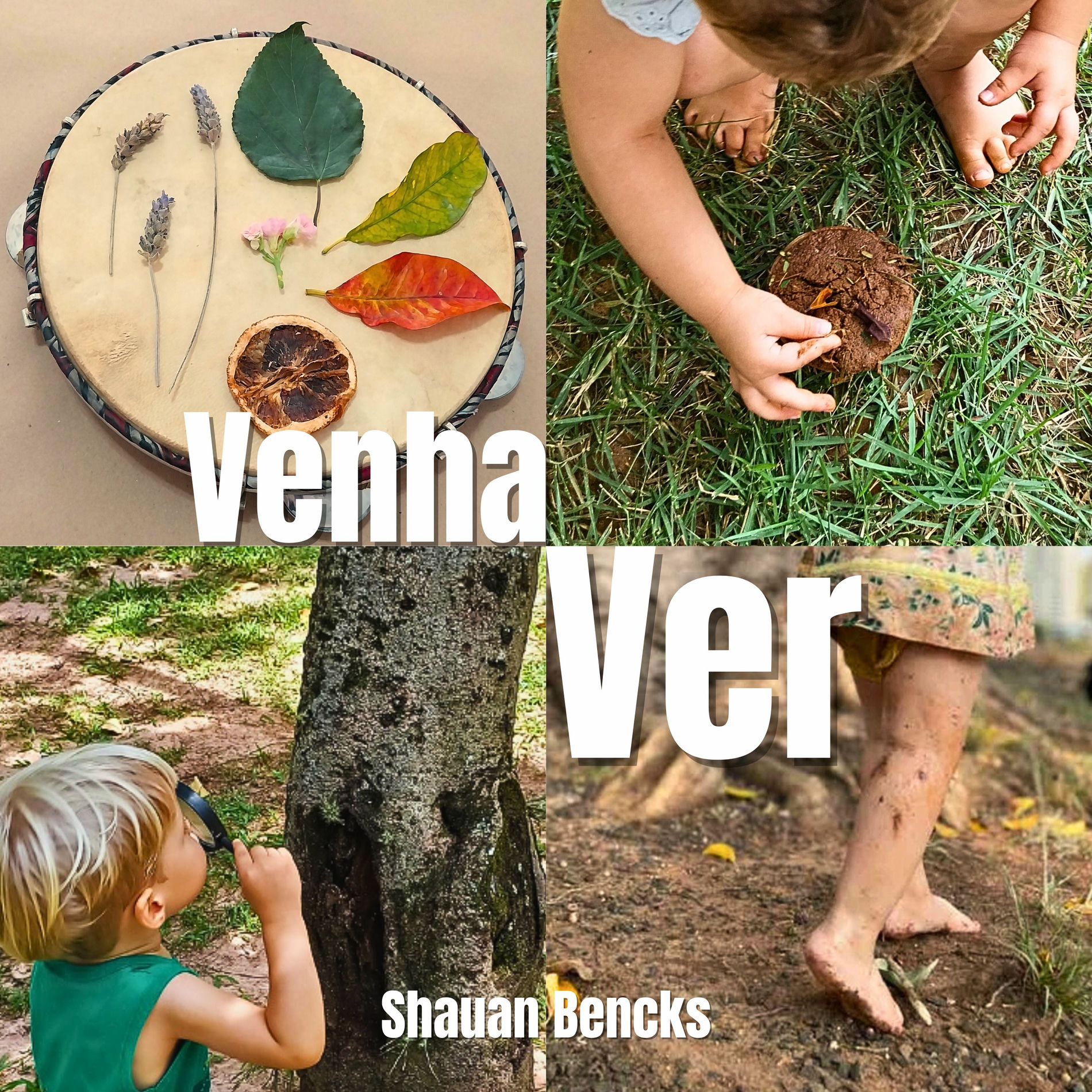 Album cover of Venha Ver