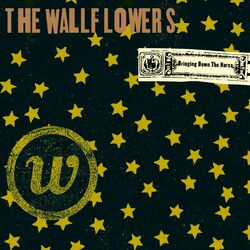 Cover of Bringing Down The Horse