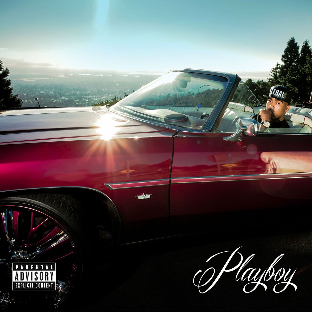 Album cover of Playboy