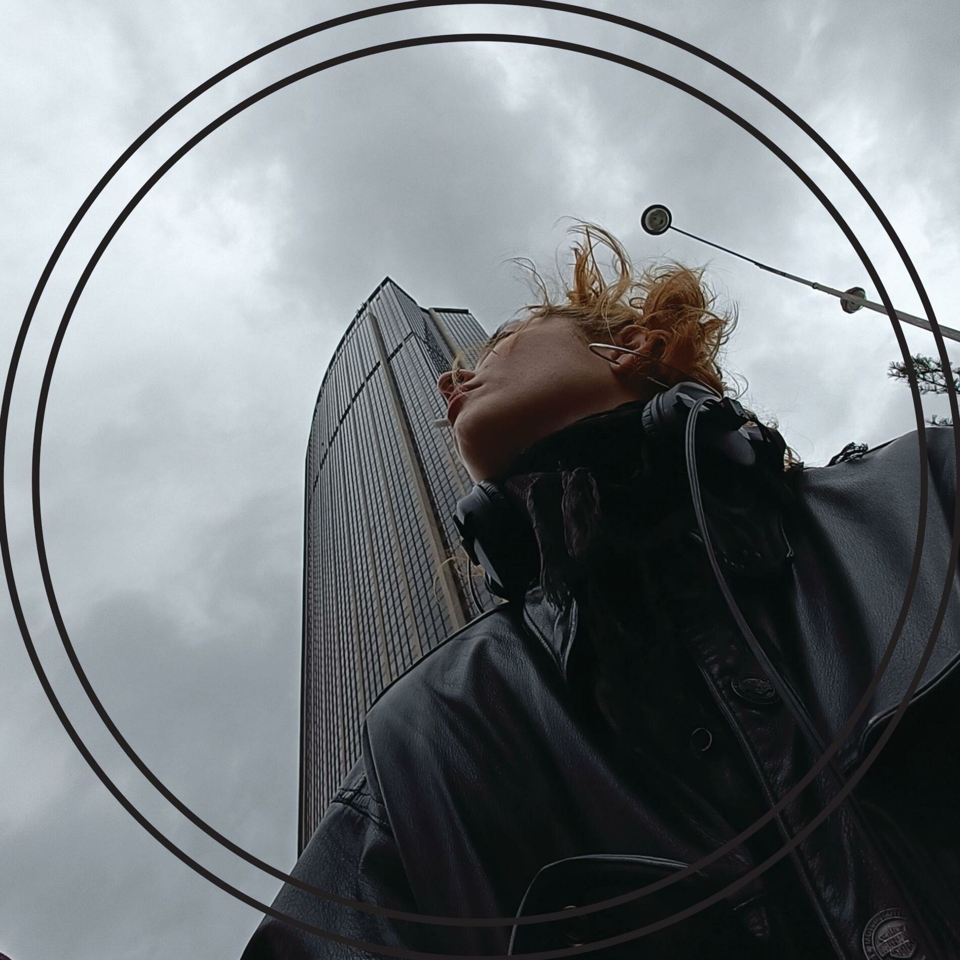 Album cover of VERWIRKLICHUNG