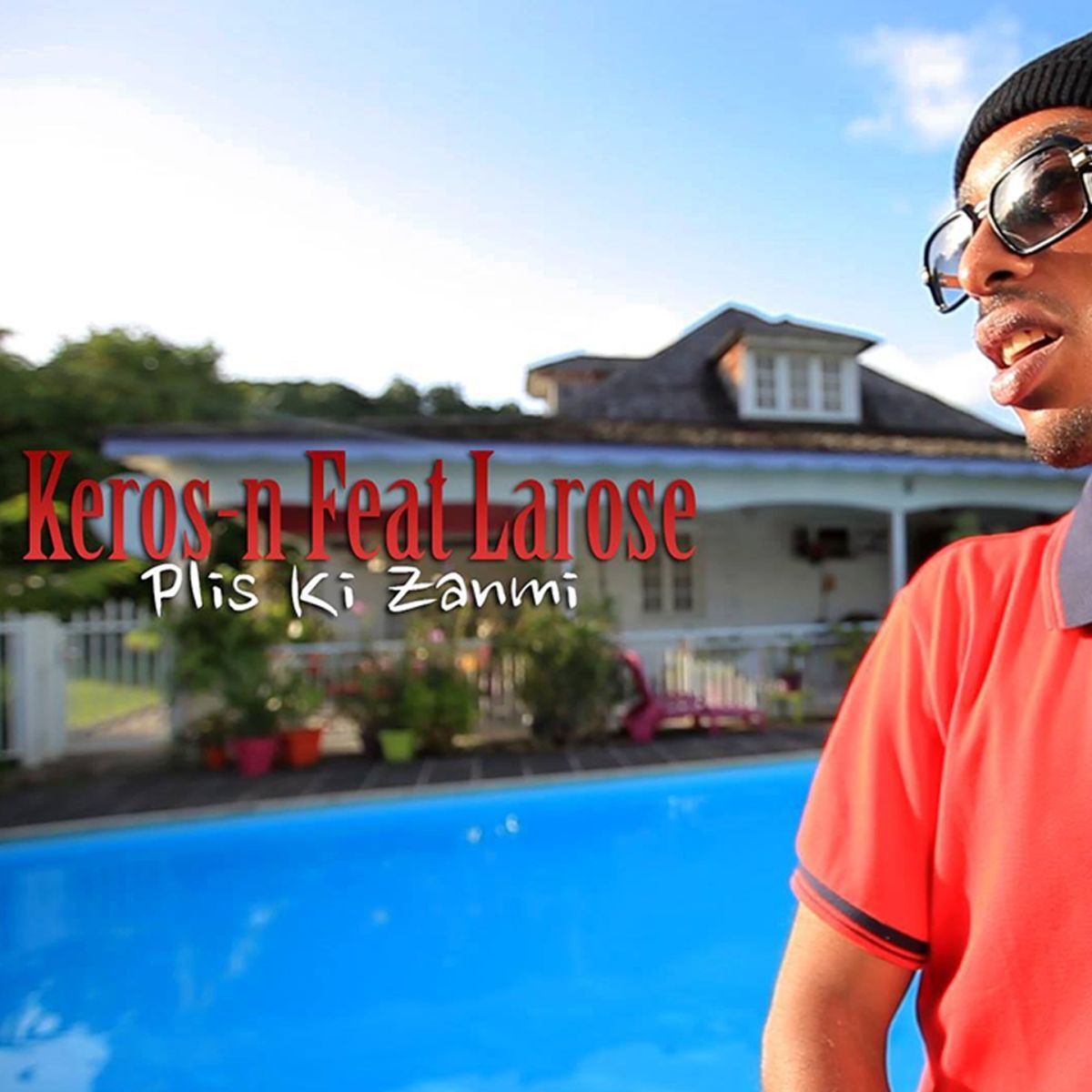 Album cover of Plis ki zanmi