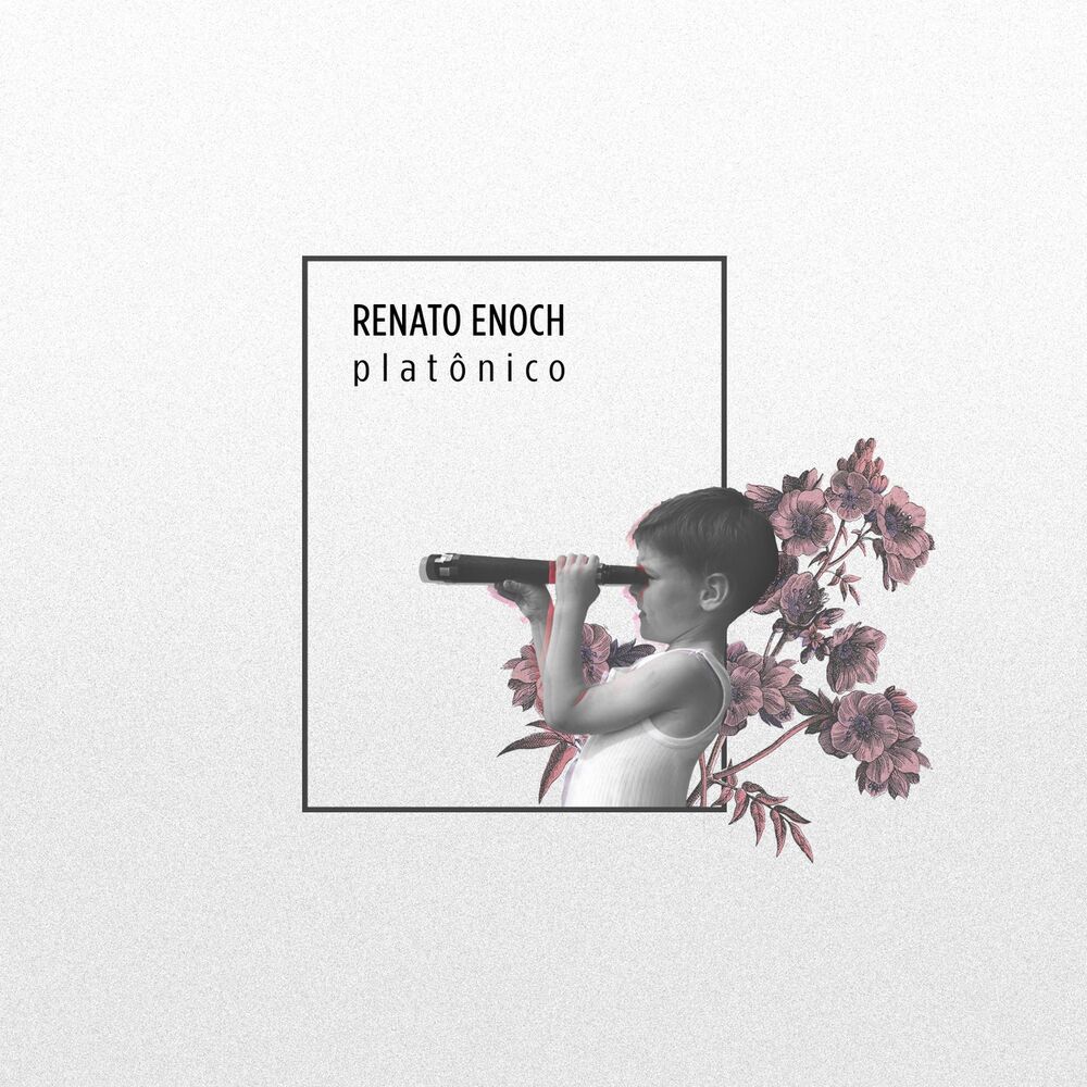 Picture of Platônico