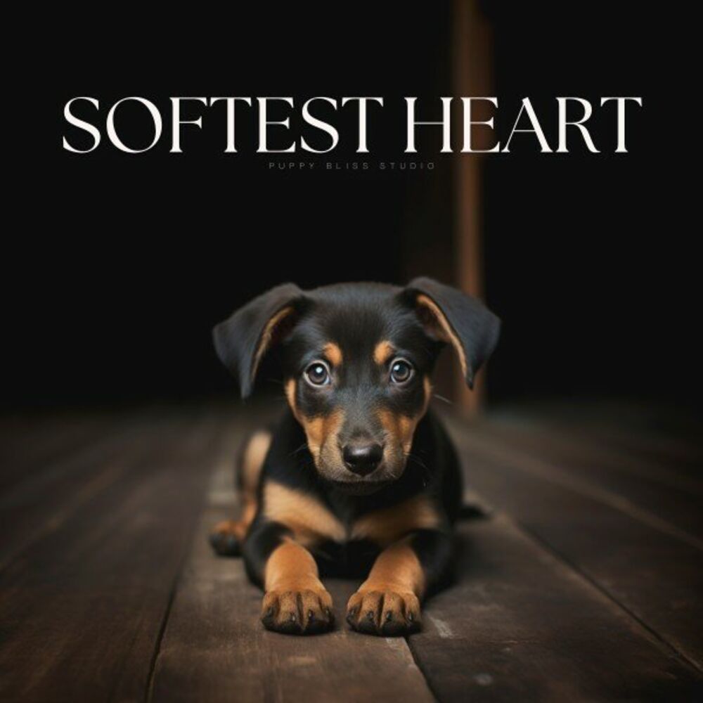 Picture of Softest Heart