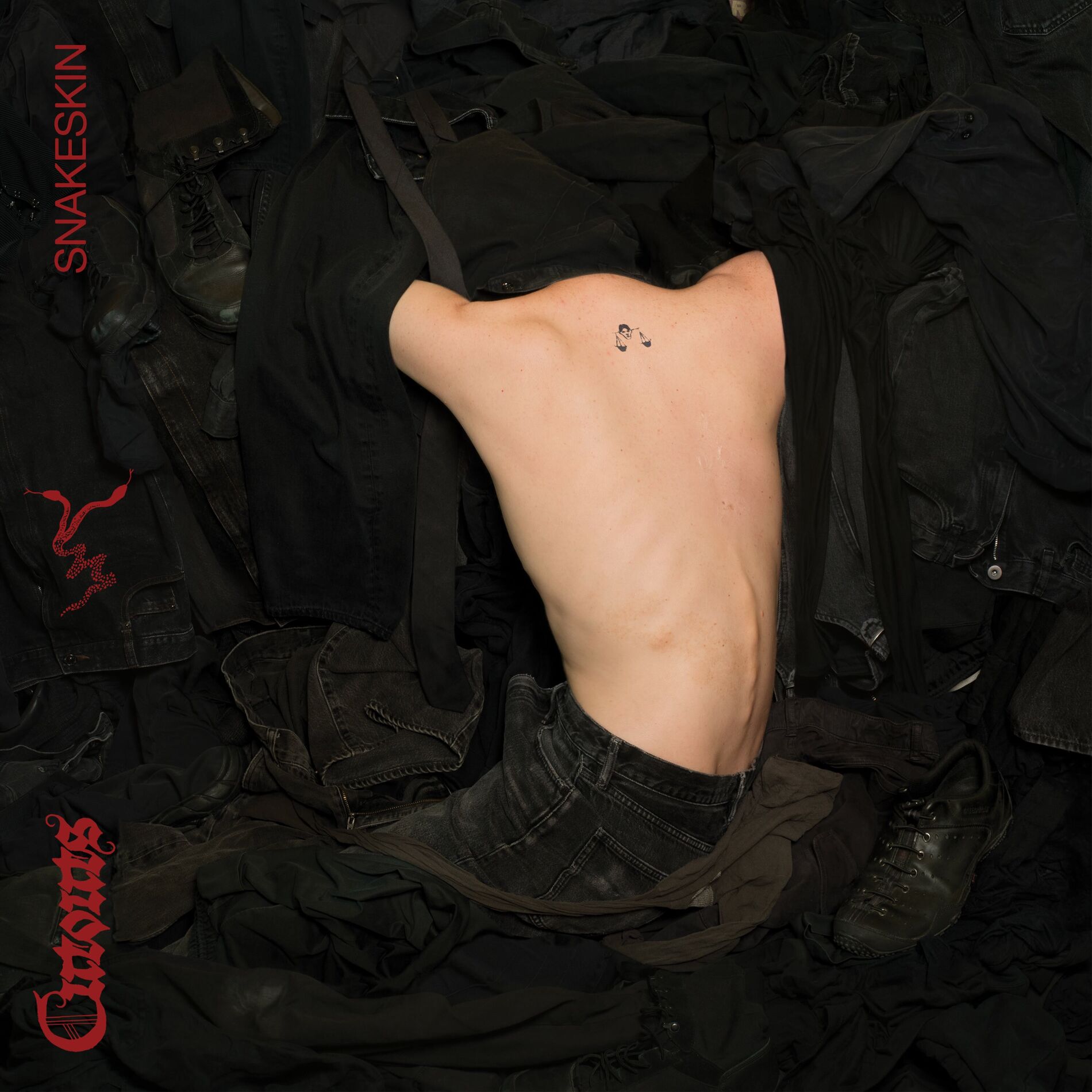 Album cover of Narc