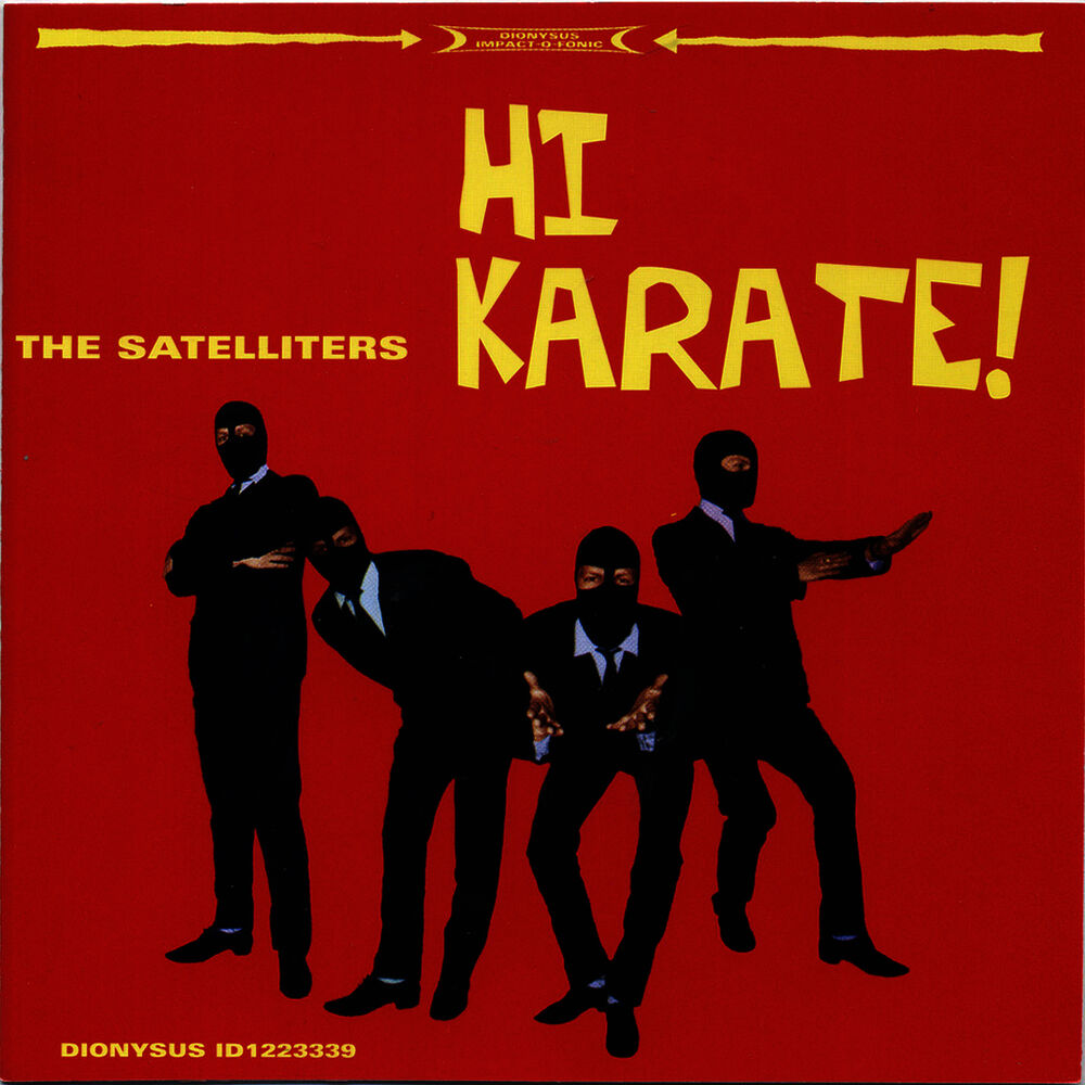 Picture of Hi Karate!