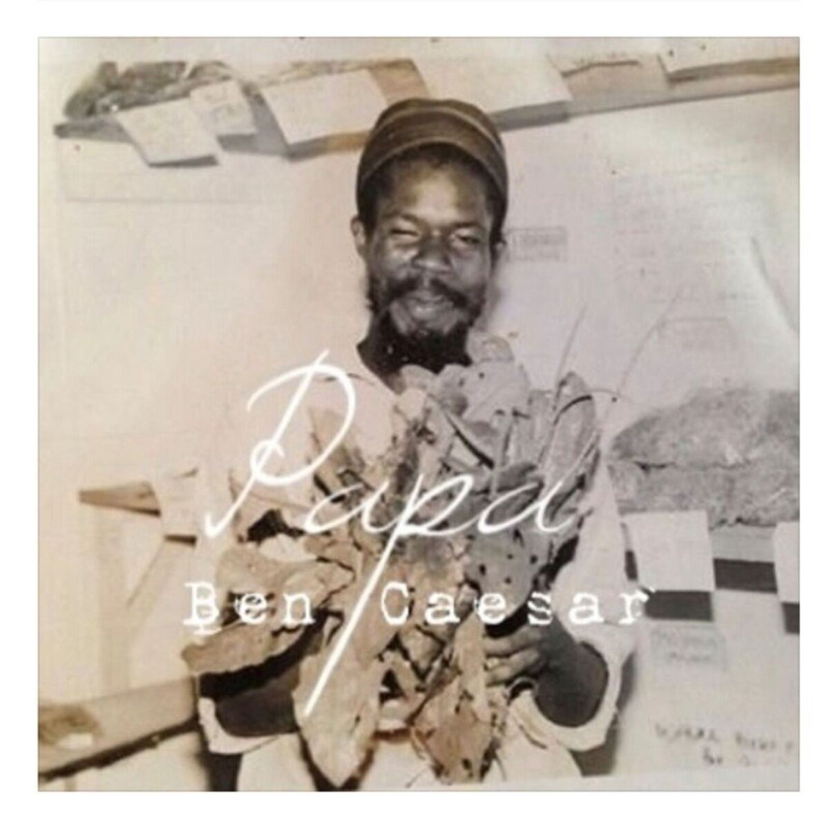 Album cover of Papa