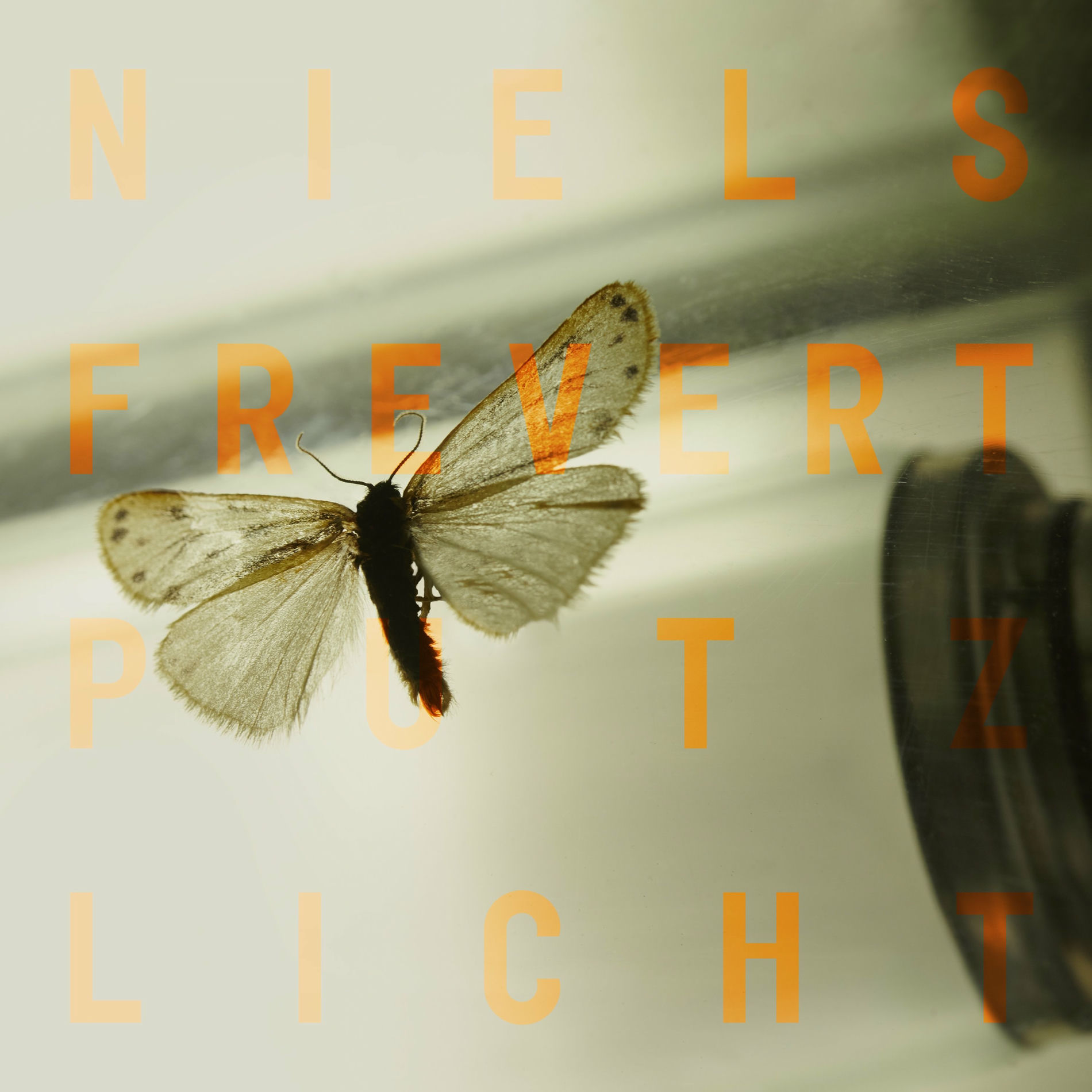 Album cover of Putzlicht