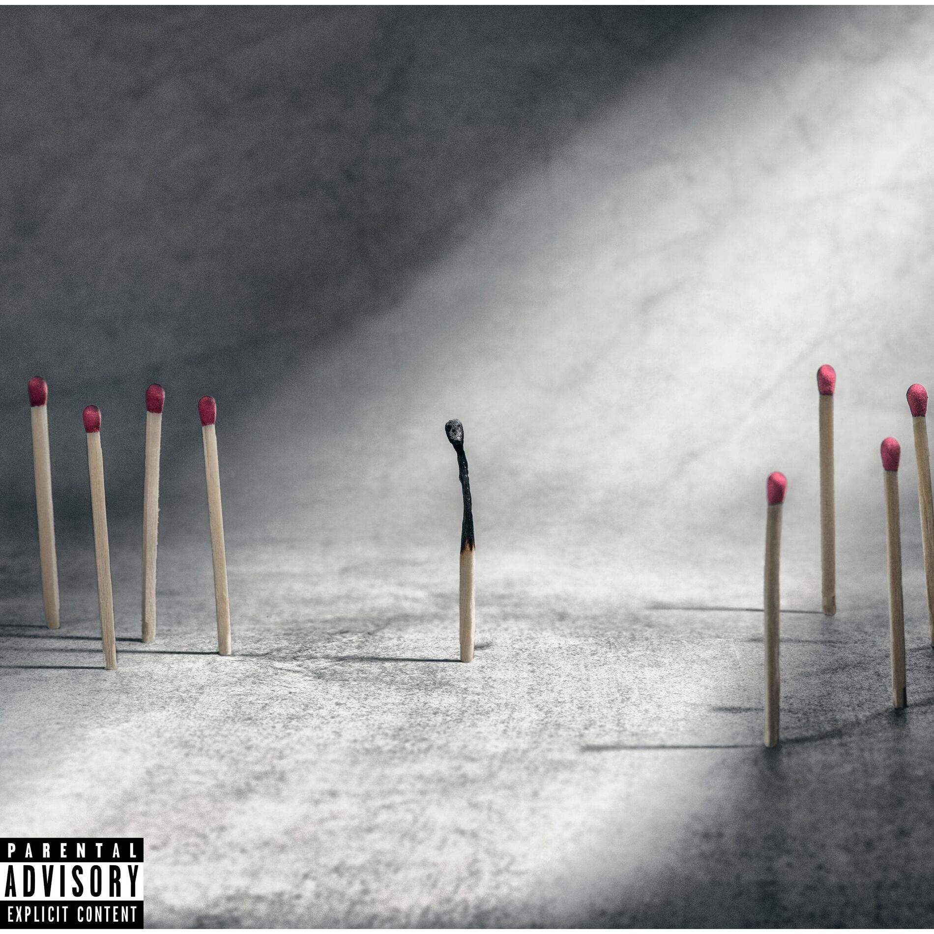 Album cover of Wrongful Accusations