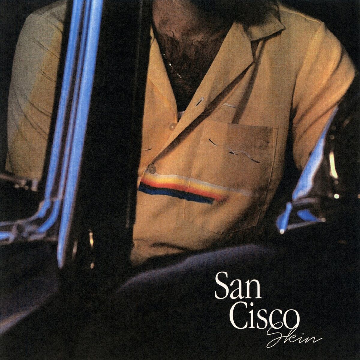 Album cover of Skin
