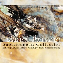 Cover of Subterranean Collective