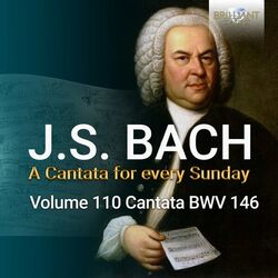 Cover of J.S. Bach: Wir müssen durch viel Trübsal in das Reich Gottes eingehen, BWV 146