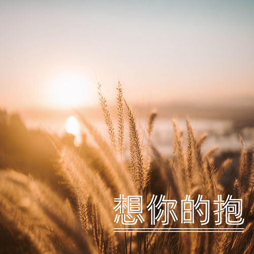 想你的抱