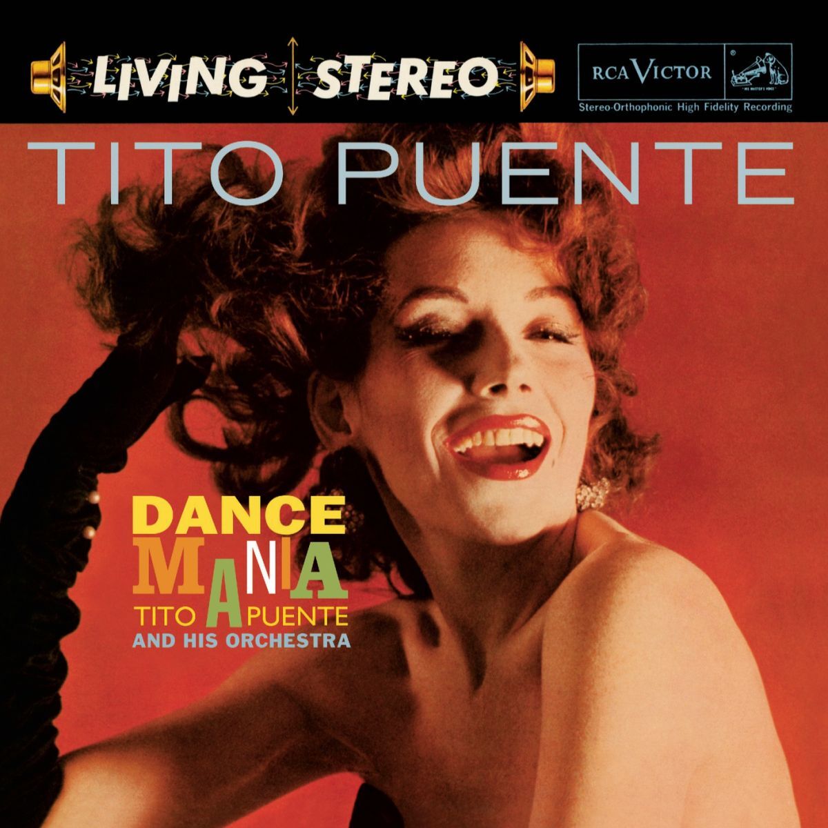 Album cover of Mambo Gozon