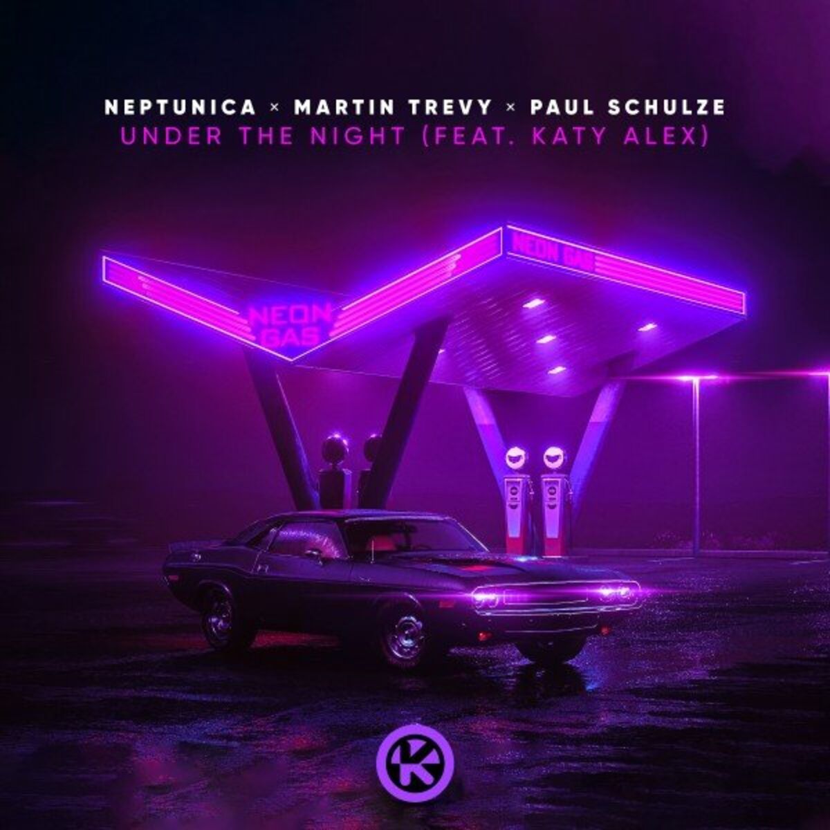 Album cover of Under the Night