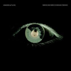 Cover of Medo de Mim (Chediak Remix)