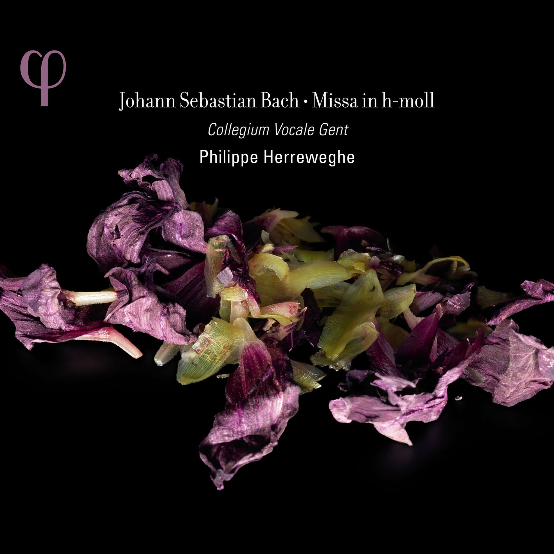 Album cover of Missa in h-moll, BWV 232, Osanna, Benedictus, Agnus Dei & Dona nobis pacem: IV. Agnus Dei