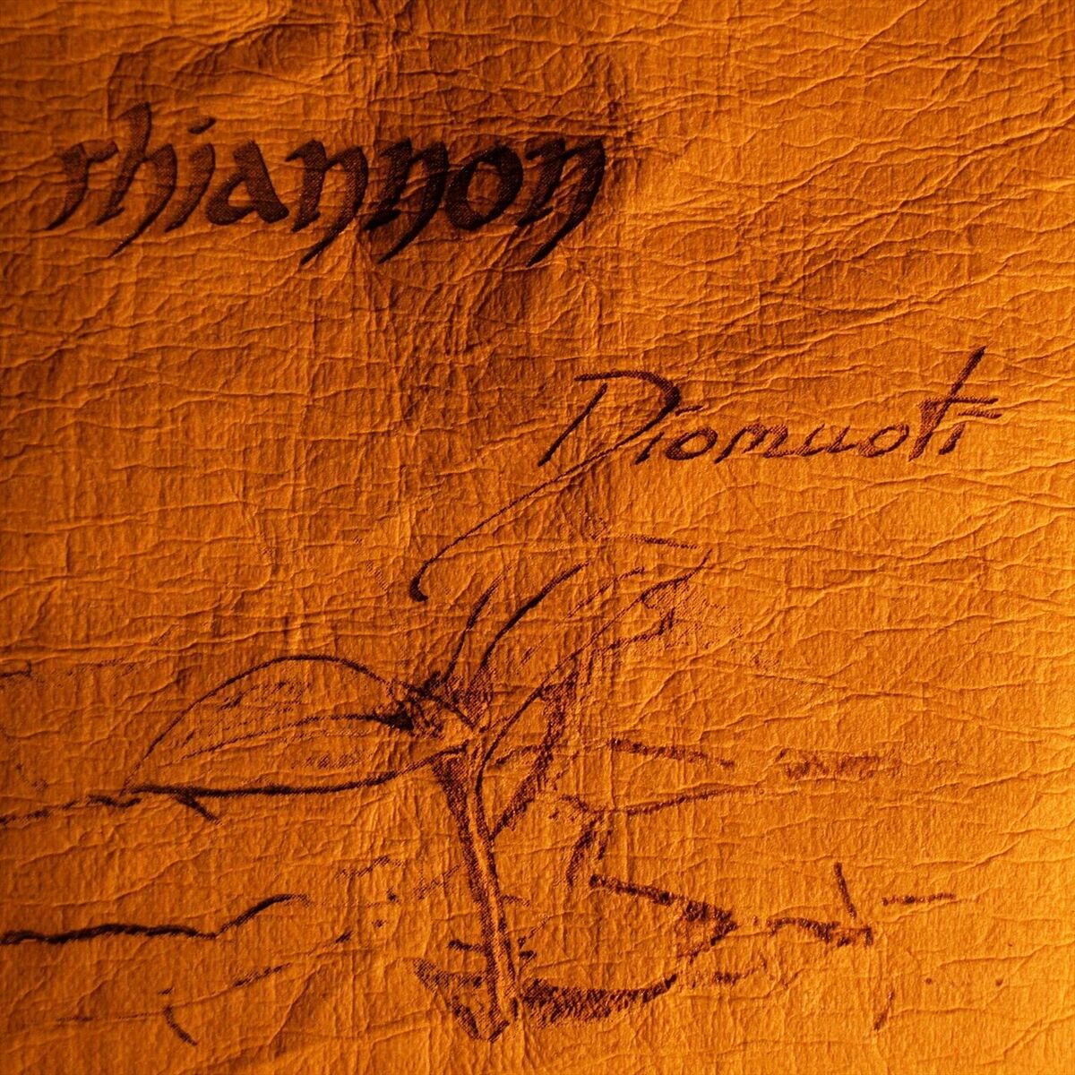 Album cover of Diomuoti