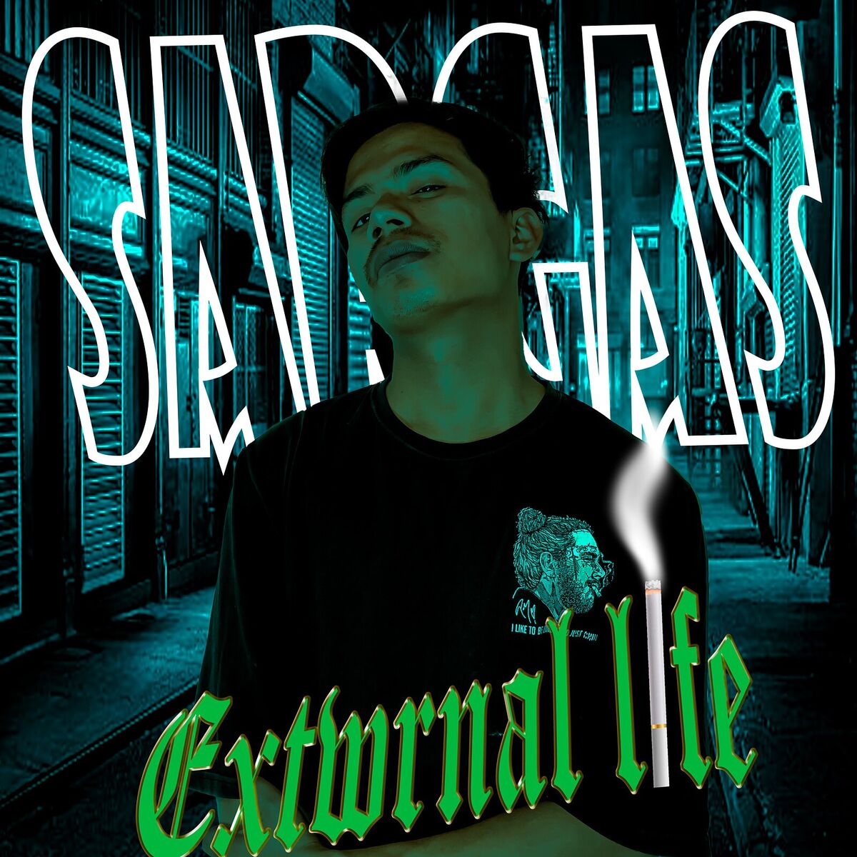 Album cover of External Life