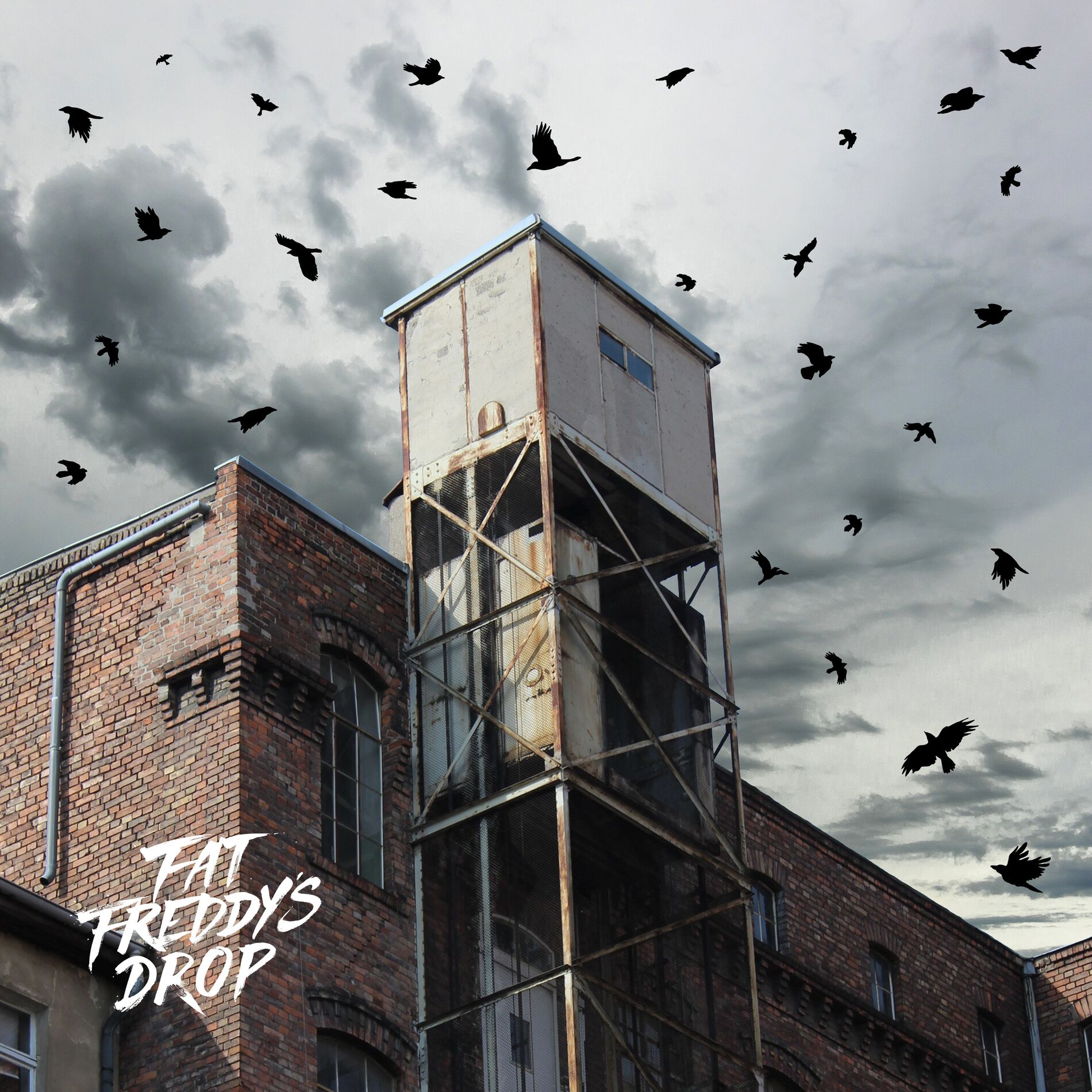 Album cover of Blackbird