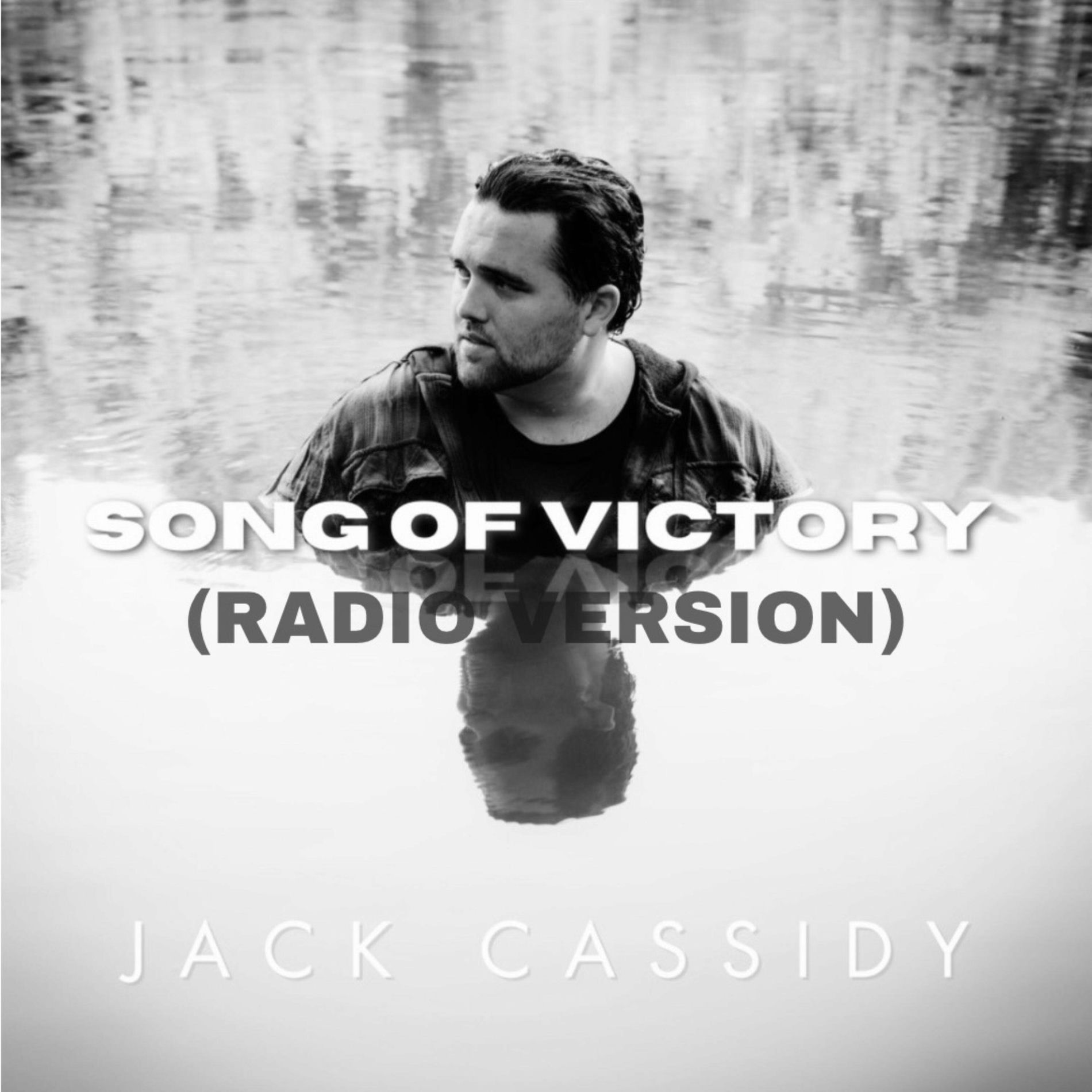 Album cover of Song Of Victory (Radio Version)