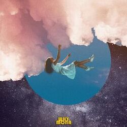 Cover of stagNation