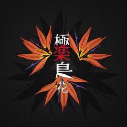 Cover of Strelitzia