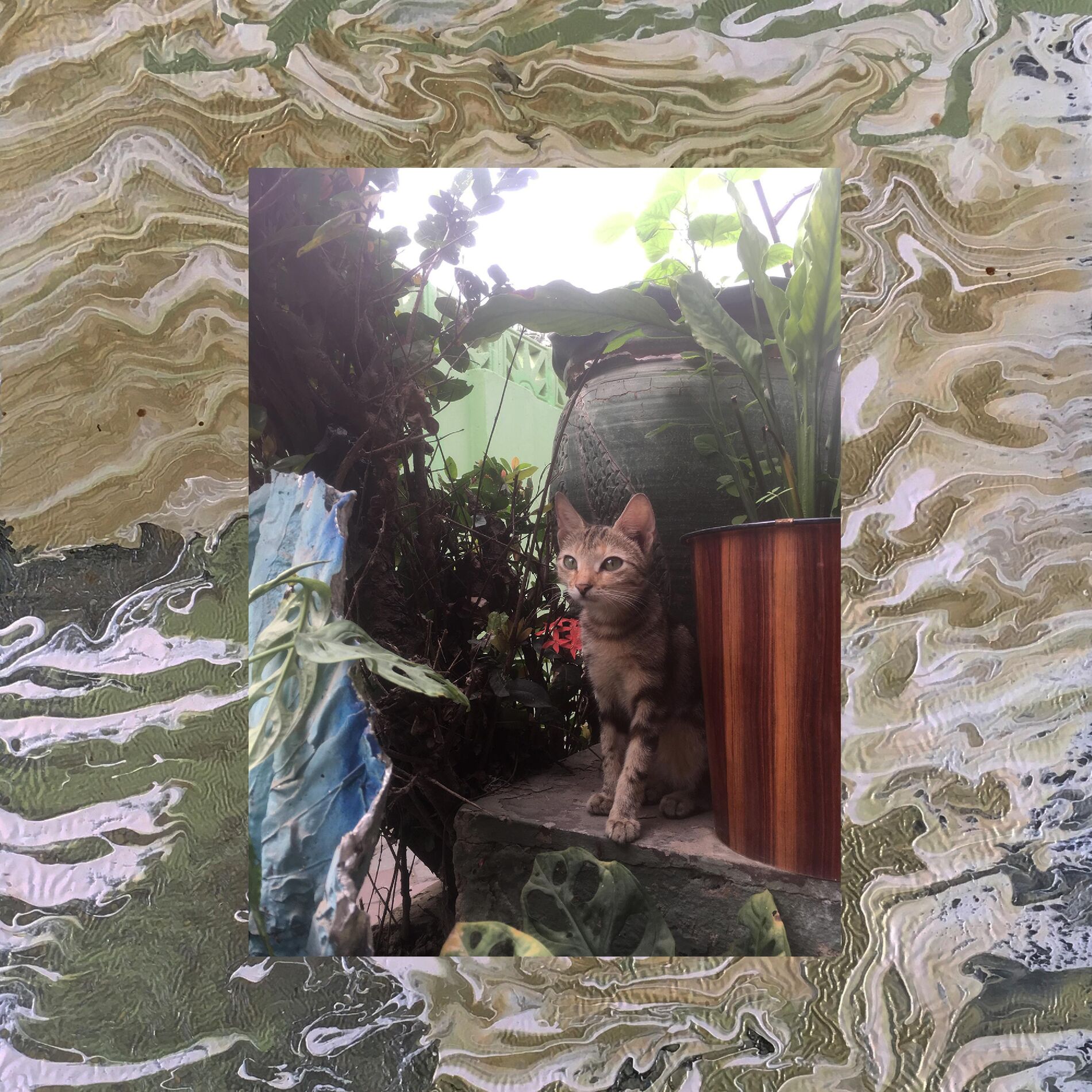 Album cover of January 2020