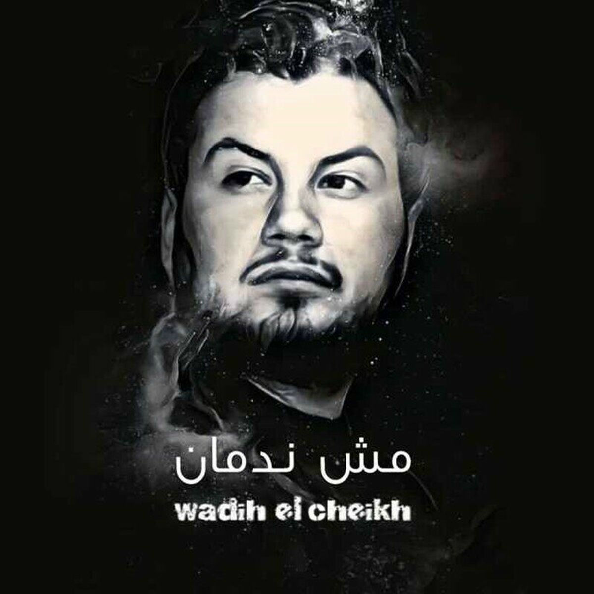 Album cover of Mech Nedman