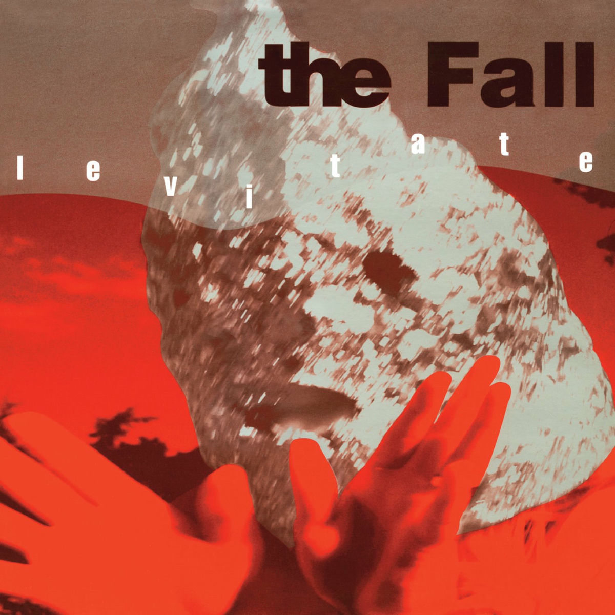 Album cover of Levitate
