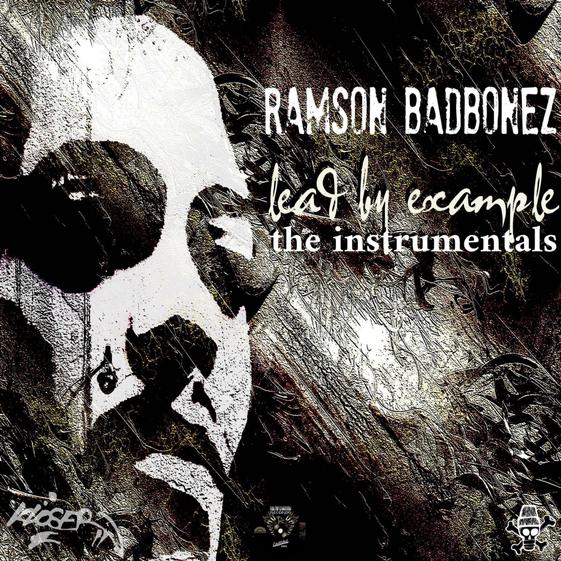 Album cover of Lead by Example (The Instrumentals)