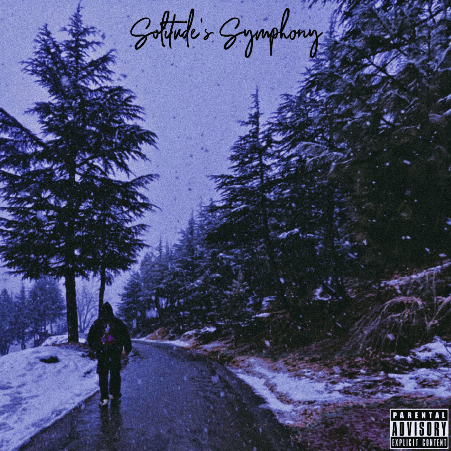 Album cover of Solitude's Symphony