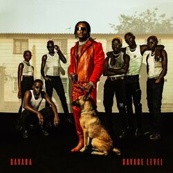 Cover of SAVAGE LEVEL