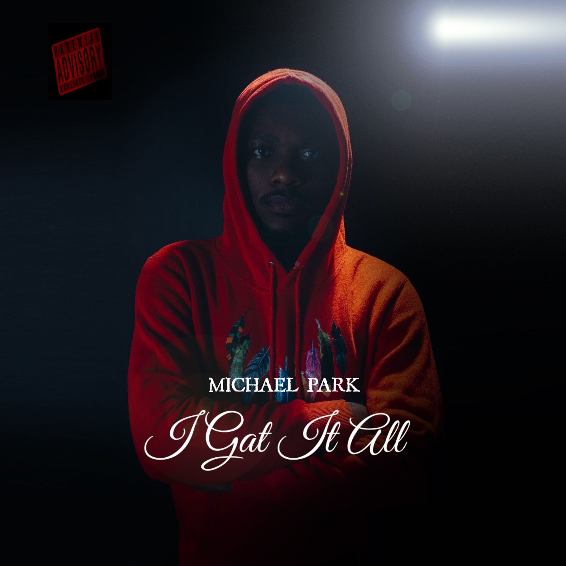 Album cover of I Gat It All
