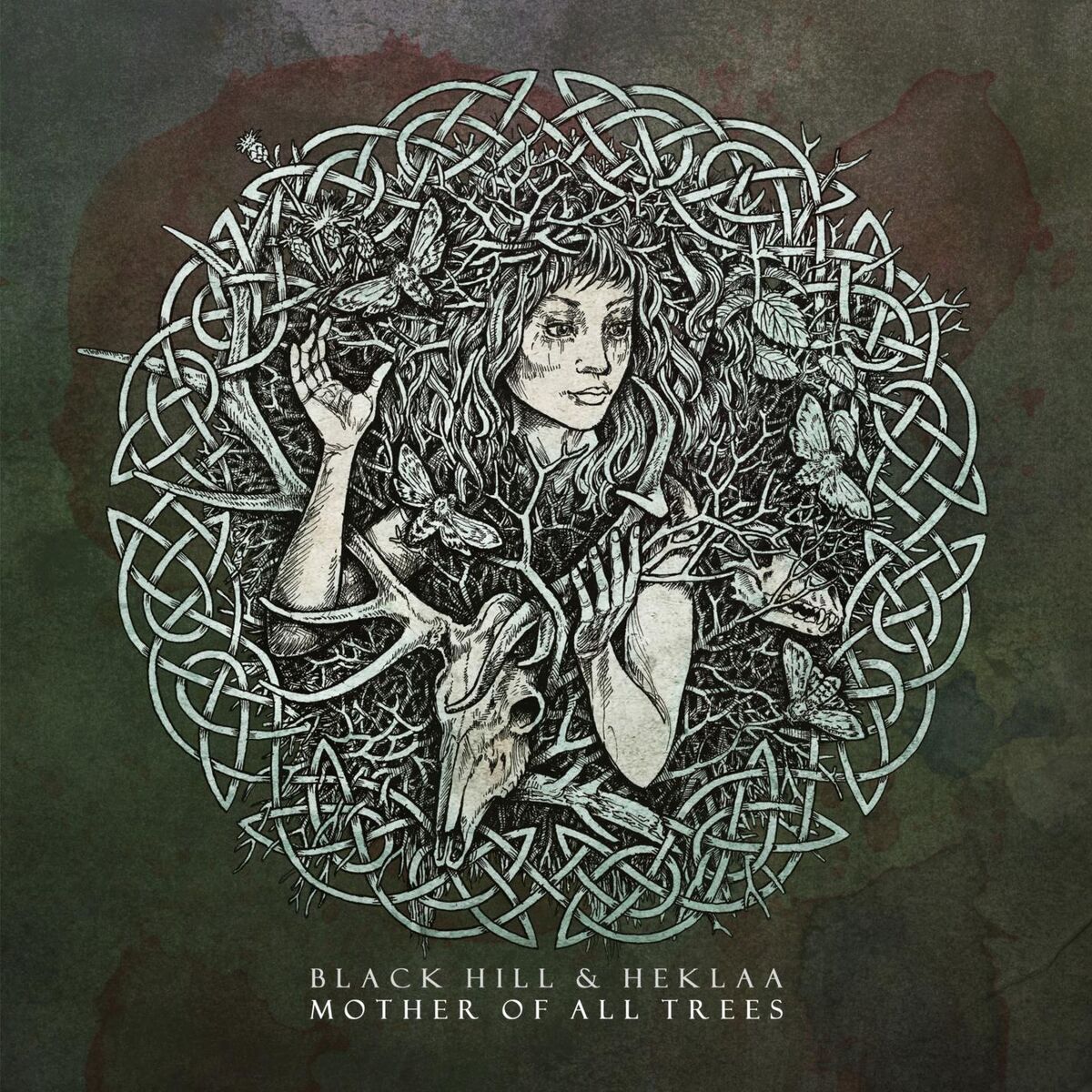 Album cover of Lenz