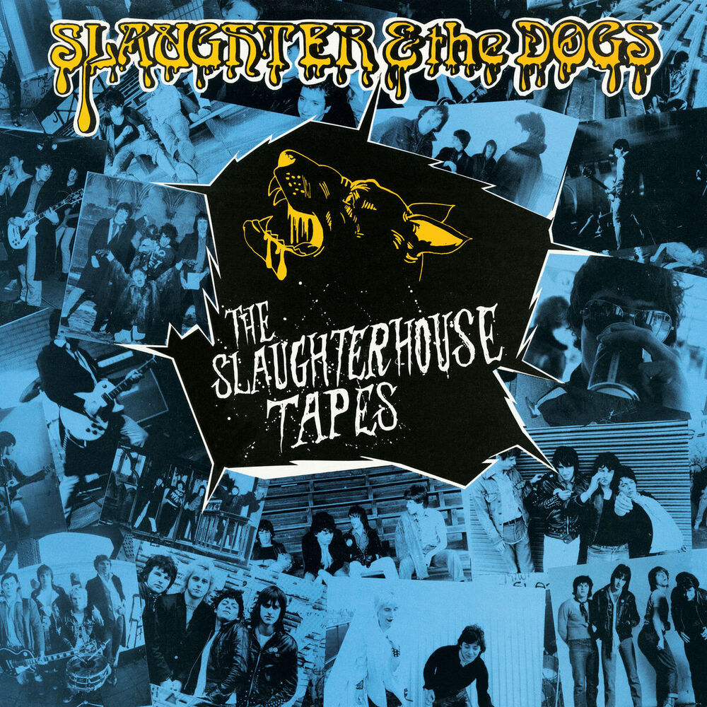 Picture of The Slaughterhouse Tapes