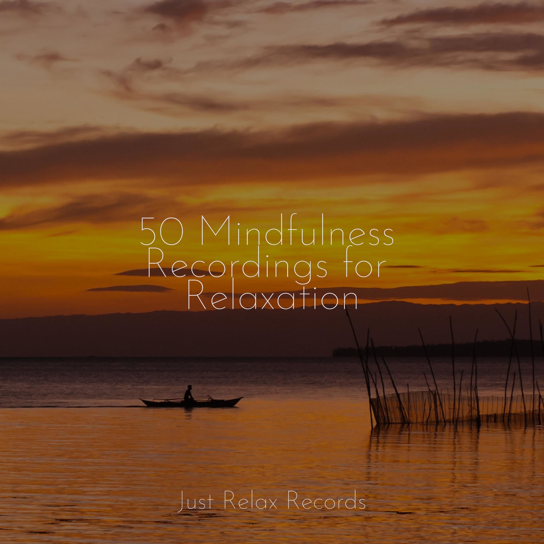 Album cover of 50 Mindfulness Recordings for Relaxation