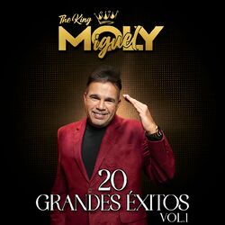 Cover of 20 Grandes Éxitos, Vol. 1