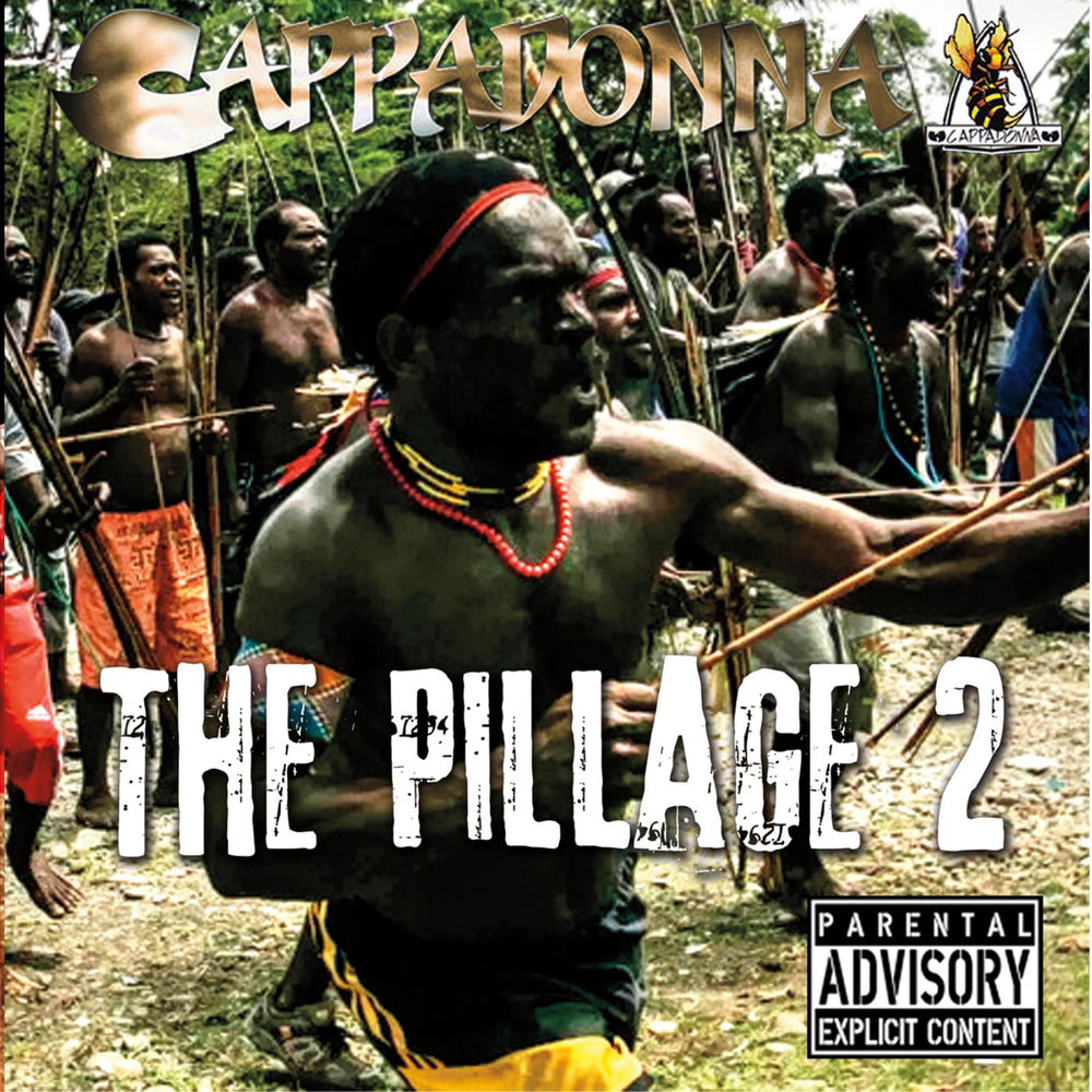 Pochette The Pillage 2