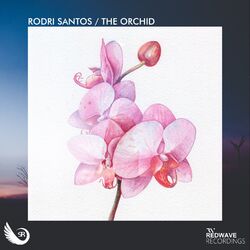 Cover of The Orchid