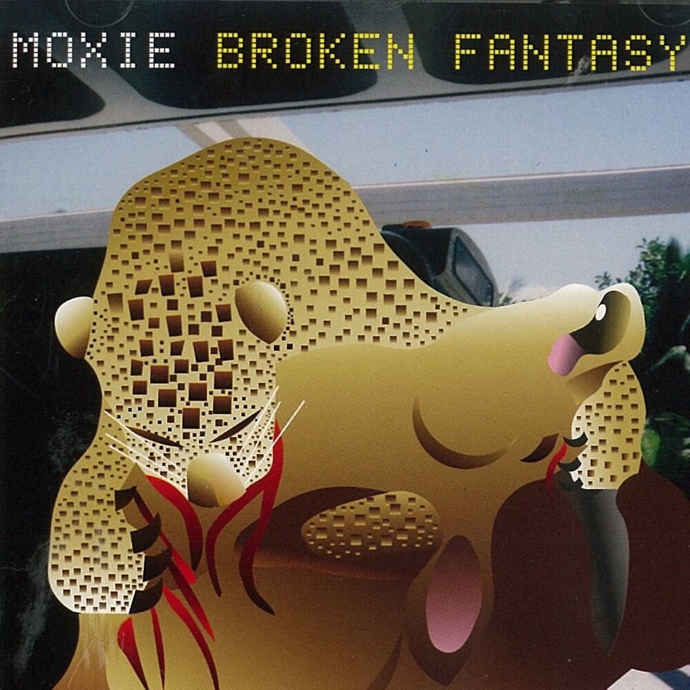 Picture of Broken Fantasy