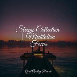 Cover of Sleepy Collection | Meditation Focus