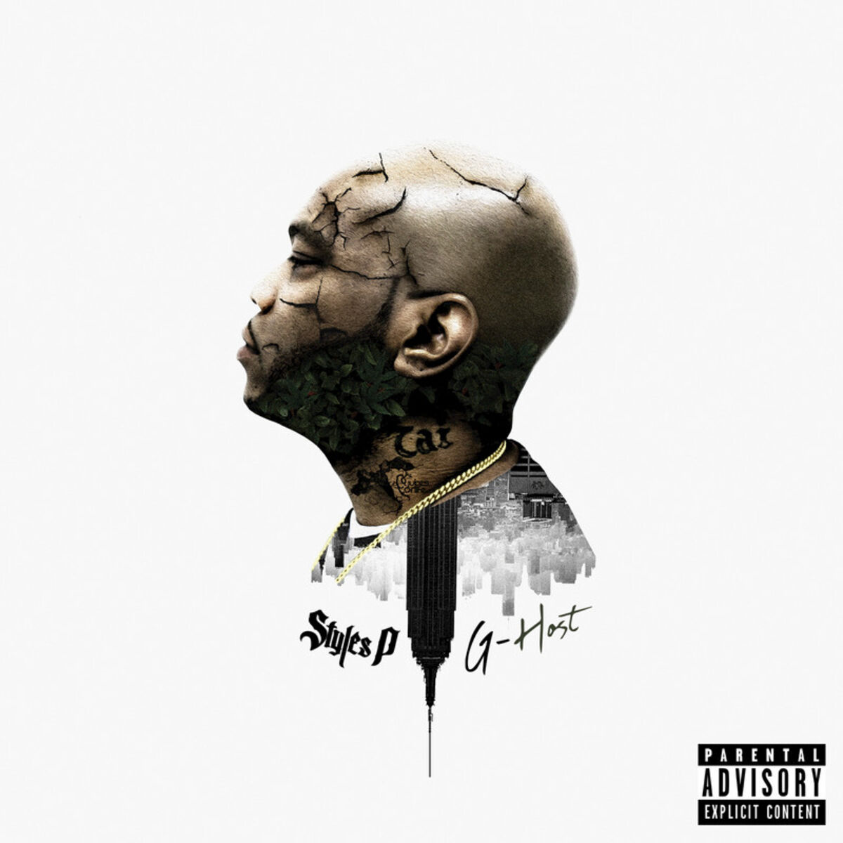 Album cover of Morning Mourning