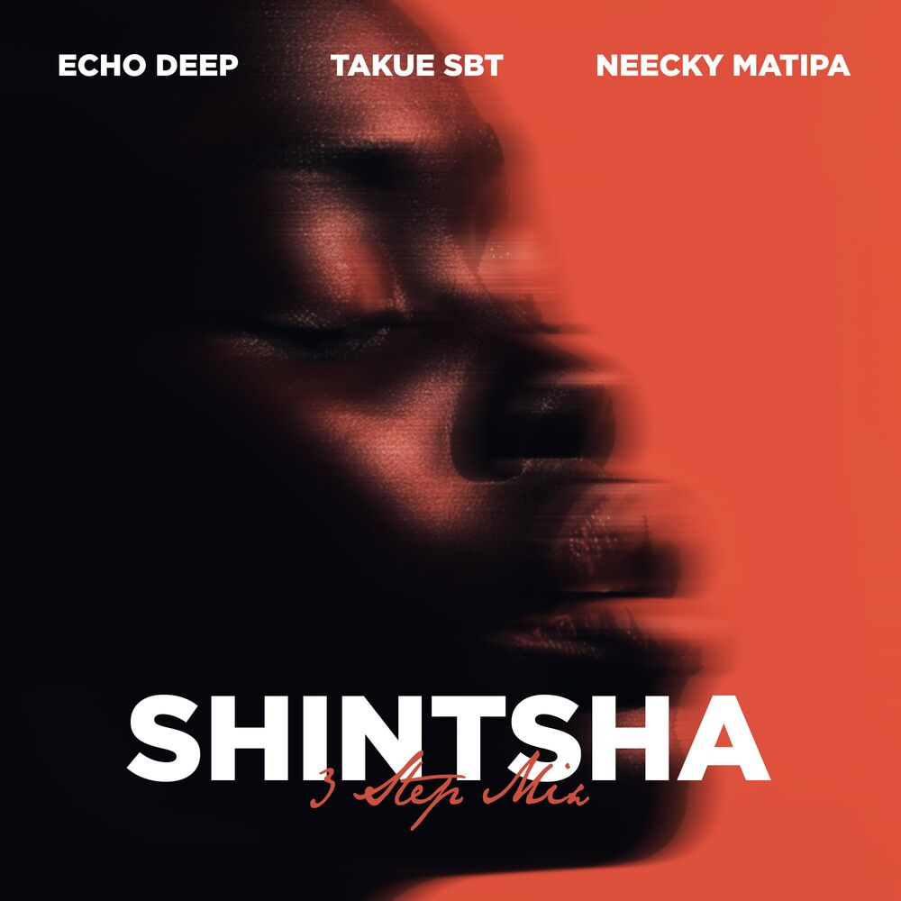 Picture of Shintsha (feat. Neecky Matipa) (3 Step Mix)