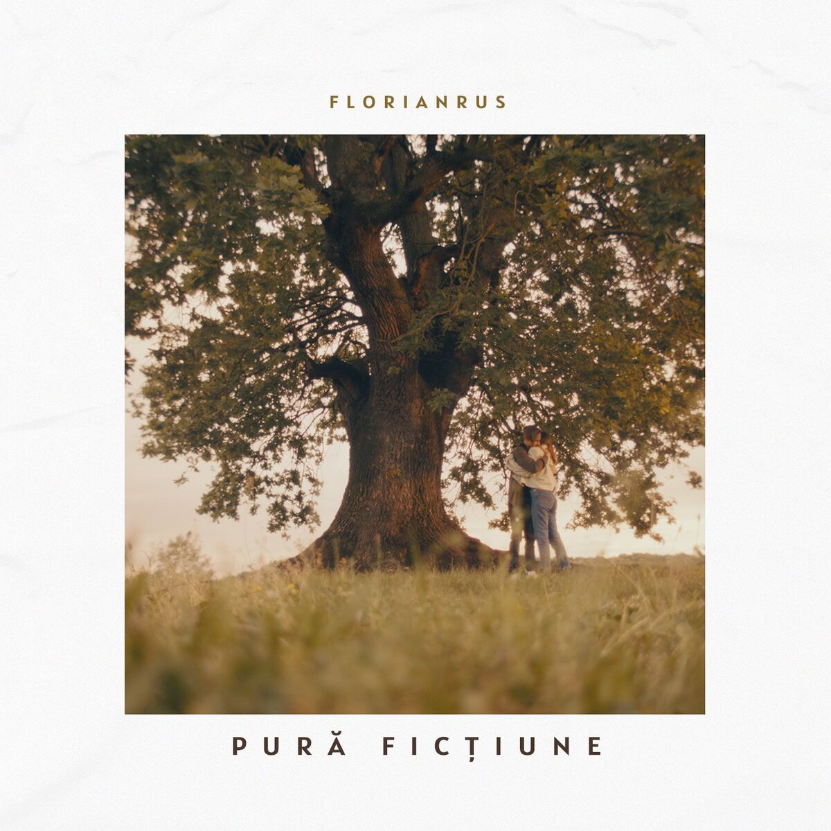 Album cover of Pură ficțiune